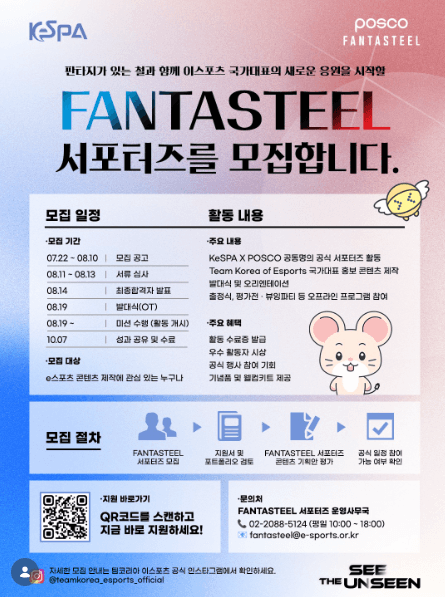 Team Korea of Esports 판타스틸(FANTASTEEL) 서포터즈 모집