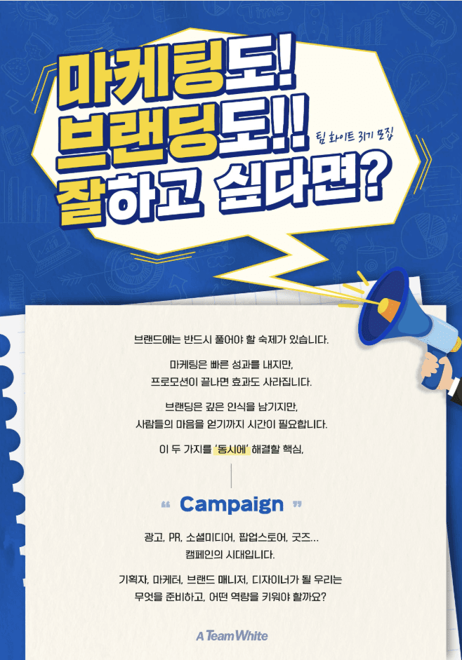 팀 화이트 31기 모집